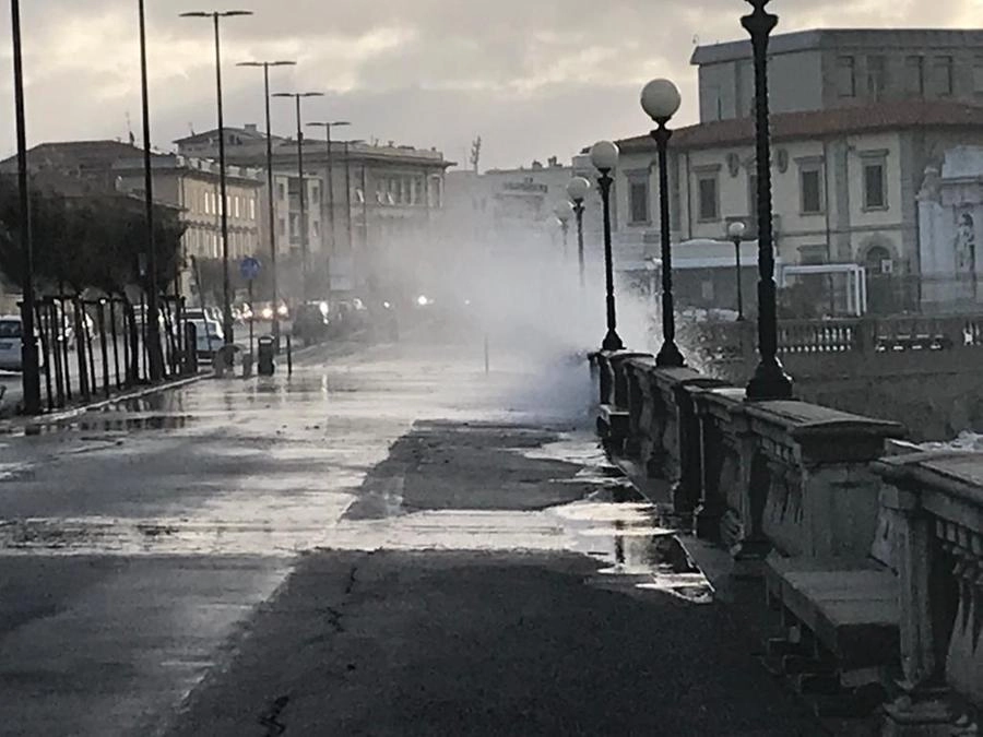 immagine di sfondo 12