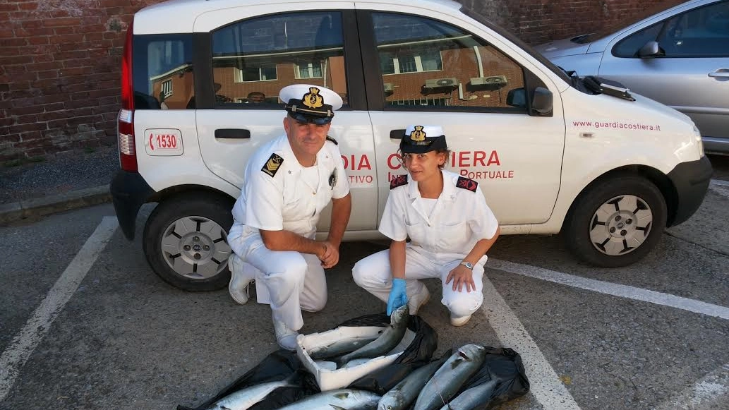Il pesce sequestrato dalla Guardia Costiera (Foto d'archivio)