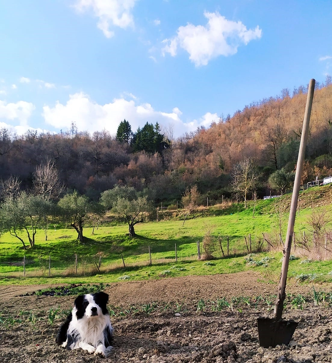 immagine di sfondo 5