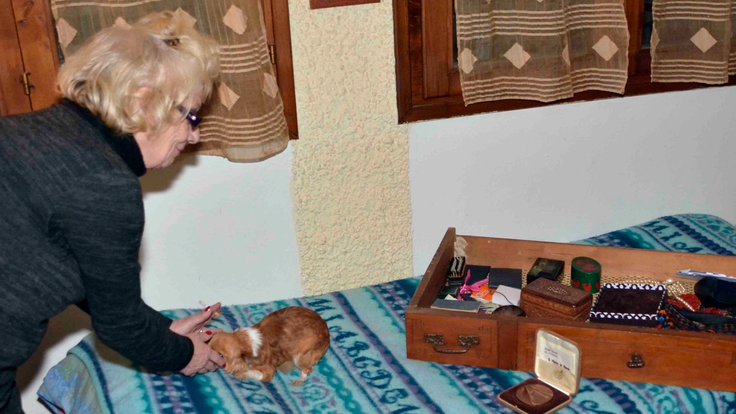 Franca Rabuzzi mentre coccola la sua cagnolina, ancora impaurita Sul letto uno dei cassetti divelti dai banditi Foto di Carlo Quartieri