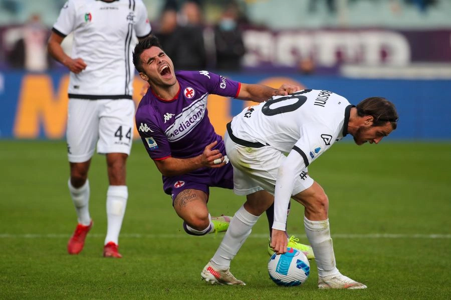immagine di sfondo 40