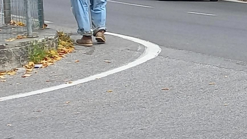 Vallecchia non è a misura di pedone. La frazione reclama interventi: "Ci sono troppi rischi e pericoli" Vallecchia non è a misura di pedone. La frazione reclama interventi: "Ci sono troppi rischi e pericoli"