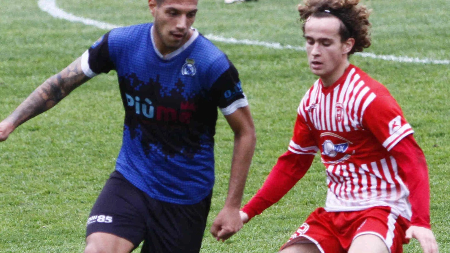 Un Real Forte Querceta da paura contro le big del campionato La capolista è già avvisata Un Real Forte Querceta da paura contro le big del campionato La capolista è già avvisata