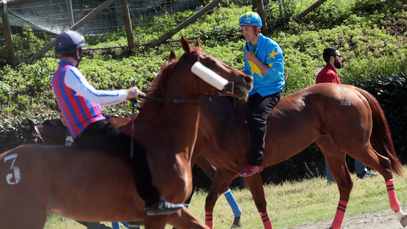Le corse di primavera si correranno domenica 21 maggio Sono stati scelti i 79 cavalli partenti nella buca d’Andrea