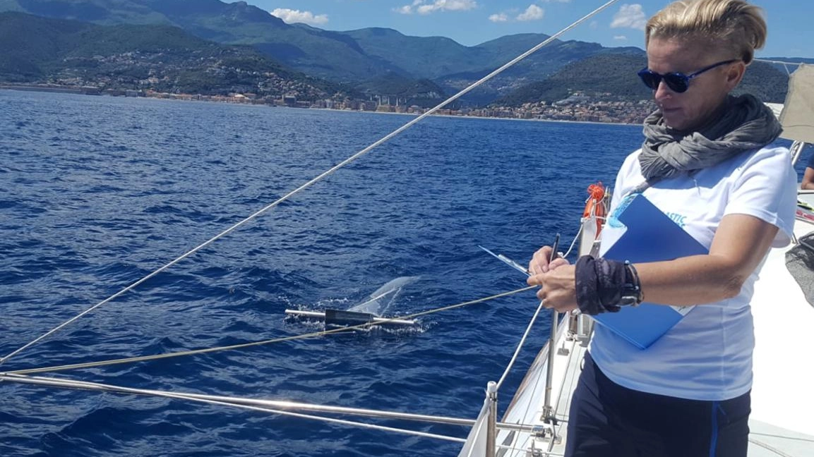 Il mare e la biodiversità  Le balene sentinelle  dello stato di salute  del Mediterraneo