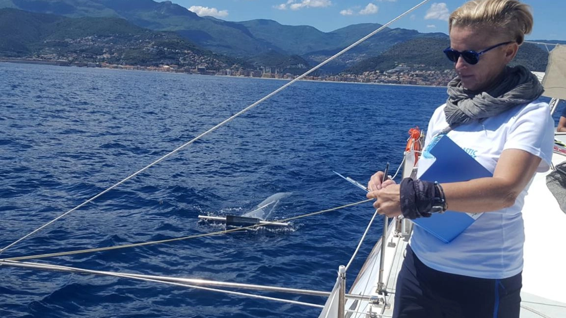 Il mare e la biodiversità Le balene sentinelle dello stato di salute del Mediterraneo Il mare e la biodiversità Le balene sentinelle dello stato di salute del Mediterraneo