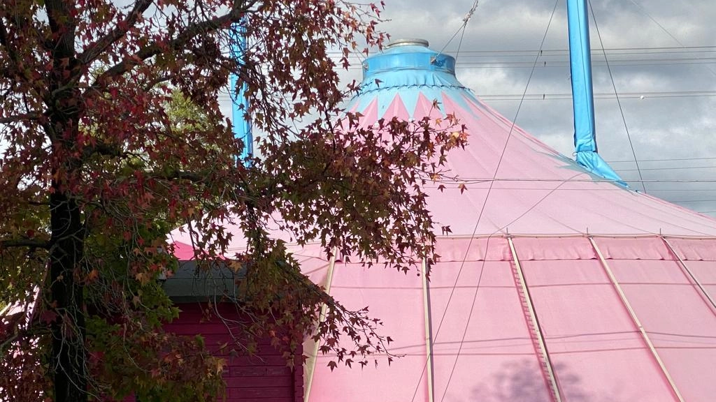 La felicità è... un tendone da circo. Spettacoli, danza e musica diventano amore, inclusione e relazioni umane La felicità è... un tendone da circo. Spettacoli, danza e musica diventano amore, inclusione e relazioni umane