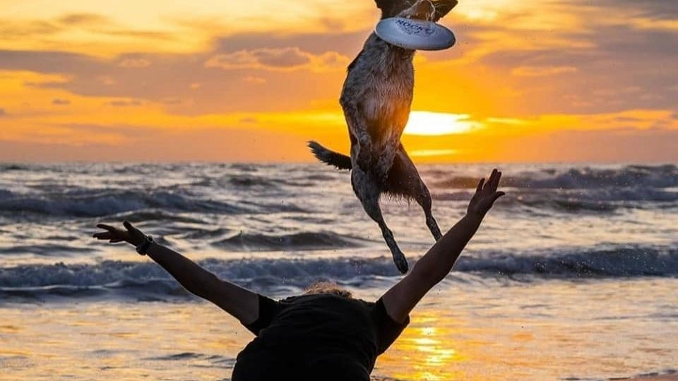 Una giornata da cani con educatrici cinofile Una giornata da cani con educatrici cinofile