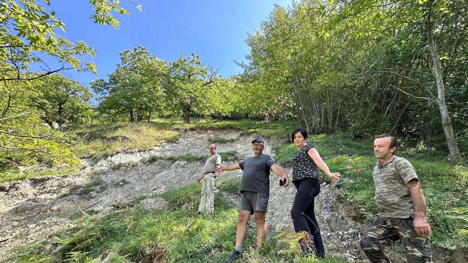 Allarme castagni. Stanno seccando. È colpa dell’alluvione e delle frane Allarme castagni. Stanno seccando. È colpa dell’alluvione e delle frane