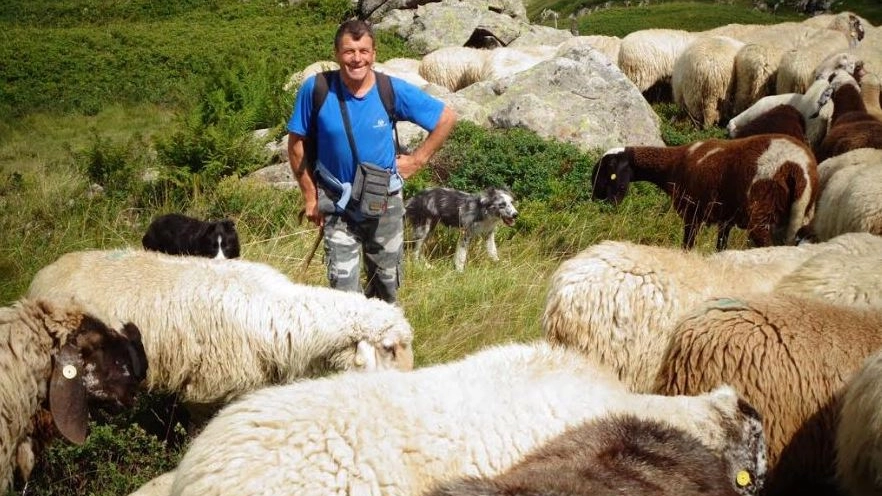 Massimo Del Freo con le sue pecore e i suoi cani 