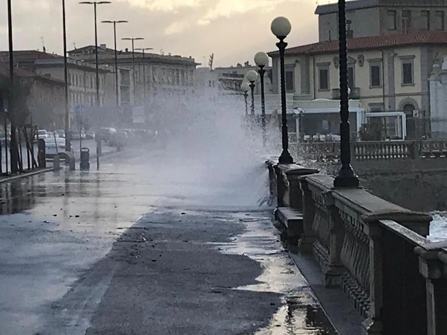 immagine di sfondo 14