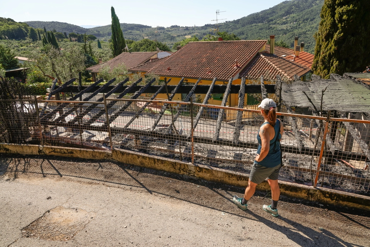 immagine di sfondo 2