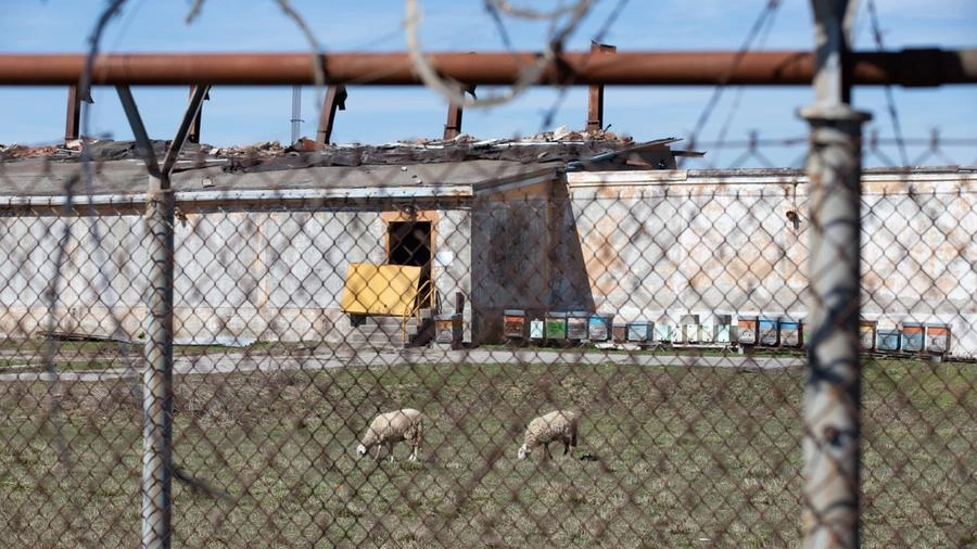 Una parte dei terreni dove sorgerebbe la nuova base (Del Punta / Valtriani)