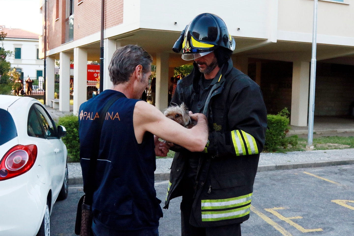 Il cagnolino salvato dall'incendio scoppiato in una palazzina ad Avane (Foto Gianni Nucci)