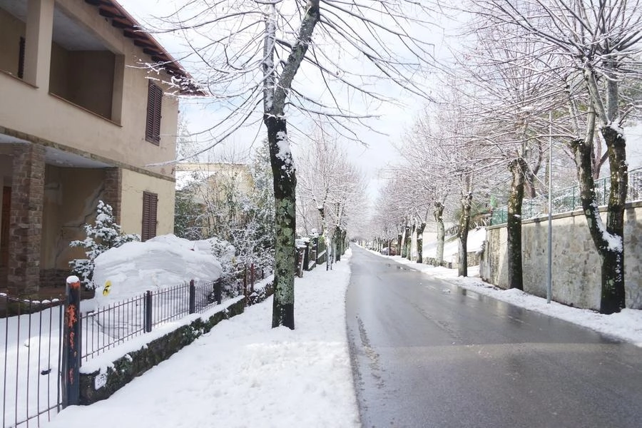 immagine di sfondo 10