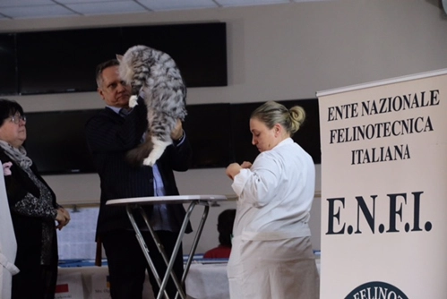immagine di sfondo 15
