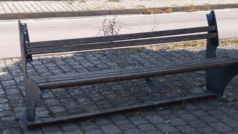 Più telecamere per i vandali a Seravezza: panchine rotte e panettoni spostati
Più telecamere per i vandali a Seravezza: panchine rotte e panettoni spostati