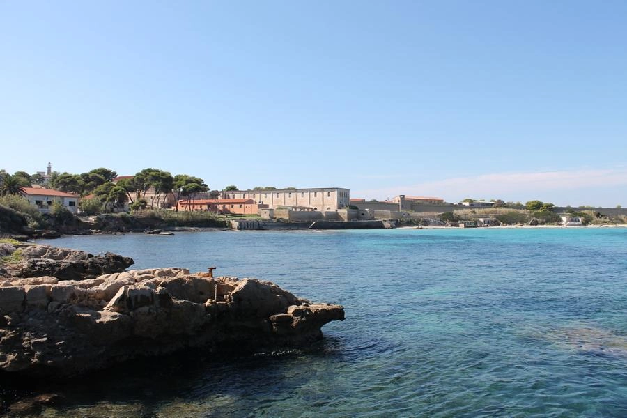 immagine di sfondo 2
