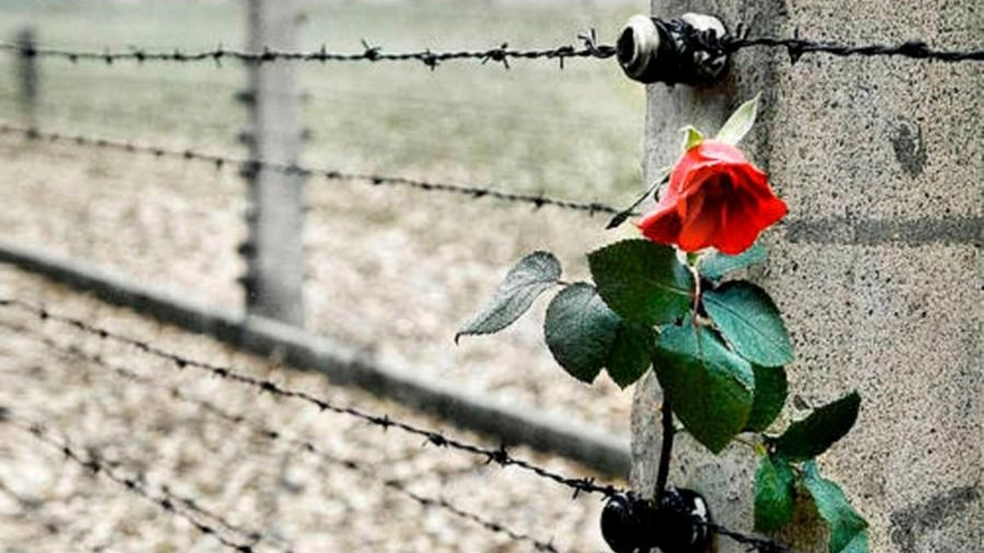 Un fiore lasciato in un campo di concentramento 