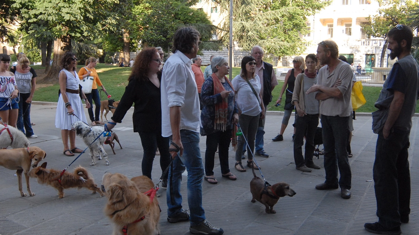 Alcuni cittadini si sono dati appuntamento ieri pomeriggio in piazza d’Armi con i loro amici a quattro zampe