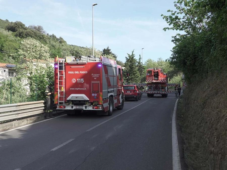 immagine di sfondo 7