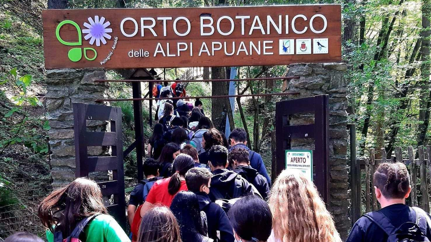 Riapre l’Orto botanico L’incanto di Pian della Fioba Riapre l’Orto botanico L’incanto di Pian della Fioba