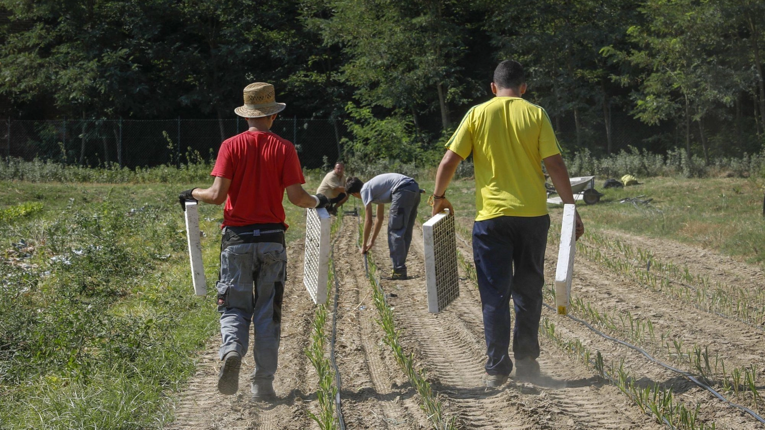 ’Ortolani coraggiosi’ . Costretti a fermarsi: "Uno stop per ripartire" ’Ortolani coraggiosi’ . Costretti a fermarsi: "Uno stop per ripartire"