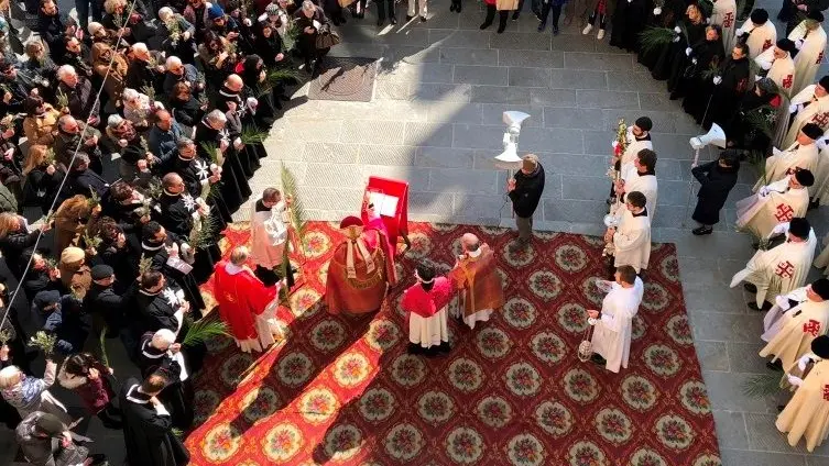 Domenica delle Palme (foto archivio) Domenica delle Palme (foto archivio)