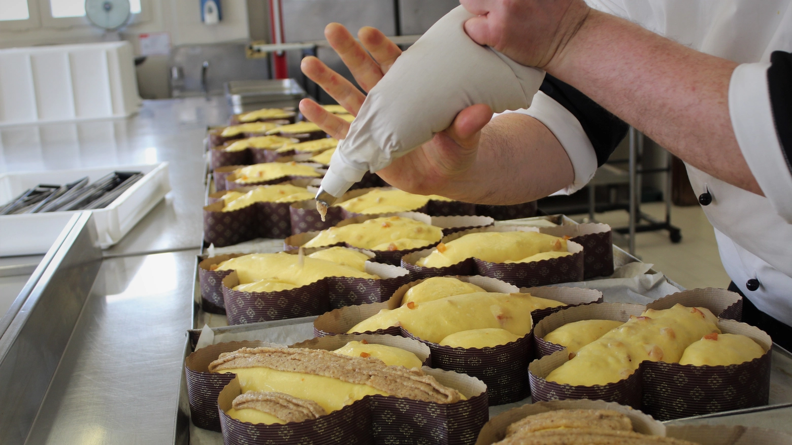 La preparazione di una colomba La preparazione di una colomba