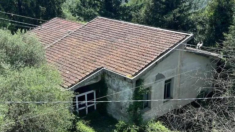 L’ex scuola di Valeriano Niente fondi dal Pnrr L’edificio resta in vendita L’ex scuola di Valeriano Niente fondi dal Pnrr L’edificio resta in vendita