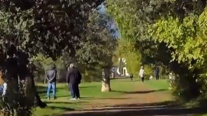 Affidato il bosco di villa La Magia: "Una svolta per il polmone verde" Affidato il bosco di villa La Magia: "Una svolta per il polmone verde"