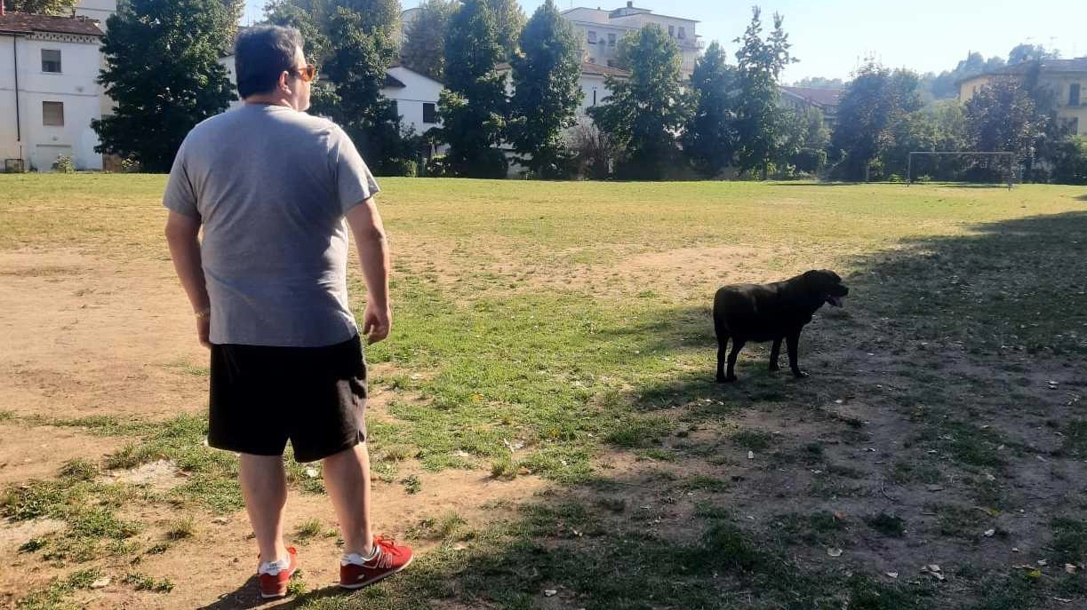 

Giardini Cadorna e nuova gestione a Montevarchi: cittadini pronti a tutelare l'area