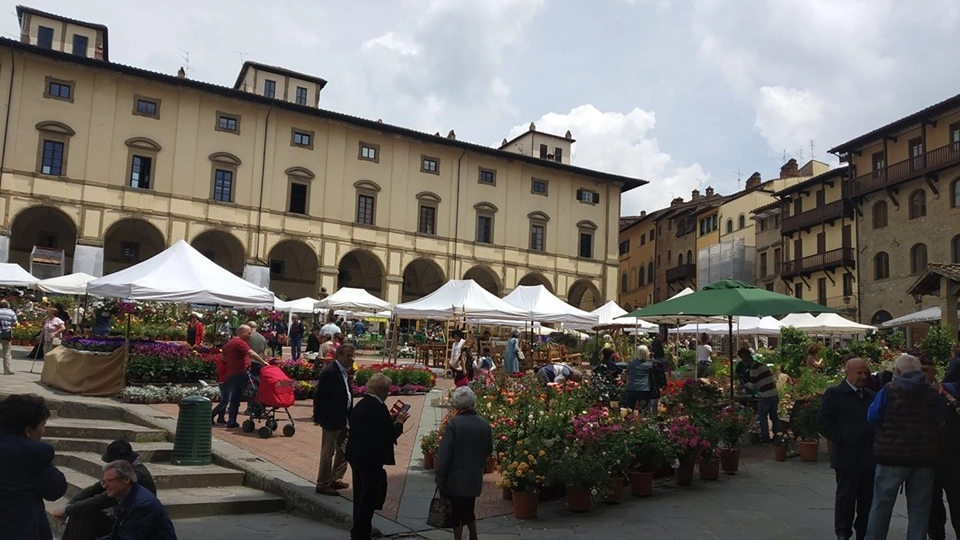 Fiori in Piazza Grande ad Arezzo