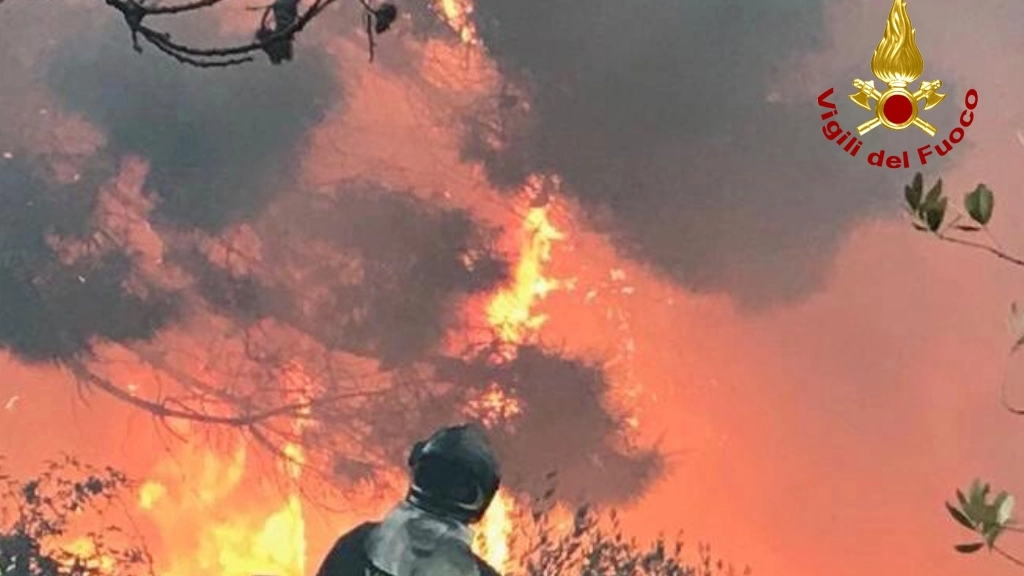 Incendio monte Serra (Pisa). Foto dei vigili del fuoco