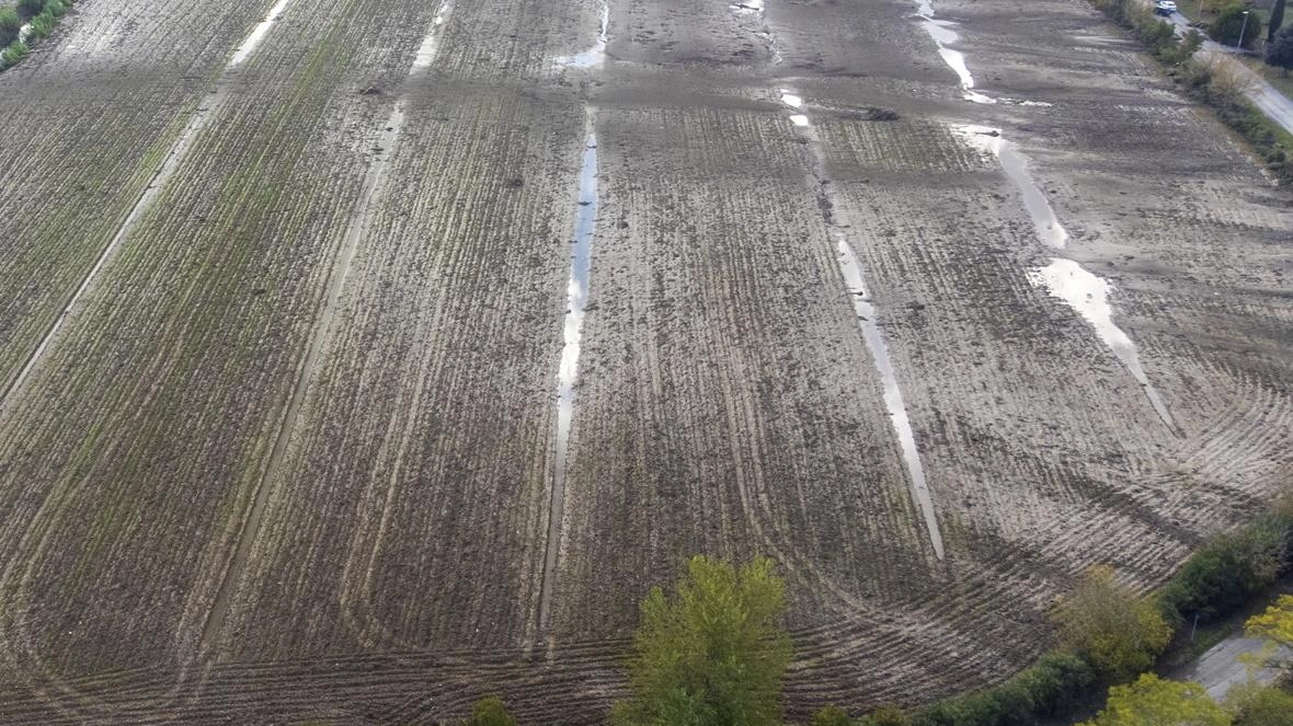 Il progetto mai realizzato. Nell’epicentro dell’alluvione doveva nascere lo stadio viola Il progetto mai realizzato. Nell’epicentro dell’alluvione doveva nascere lo stadio viola