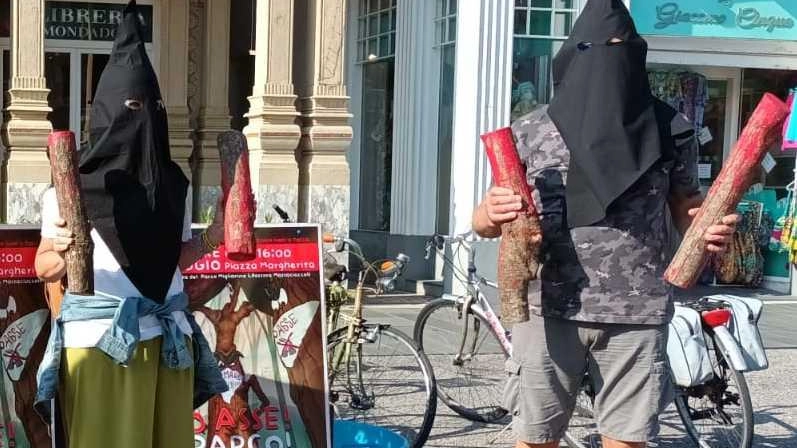 "Il Parco è sotto assedio". Ambientalisti in cammino "Il Parco è sotto assedio". Ambientalisti in cammino
