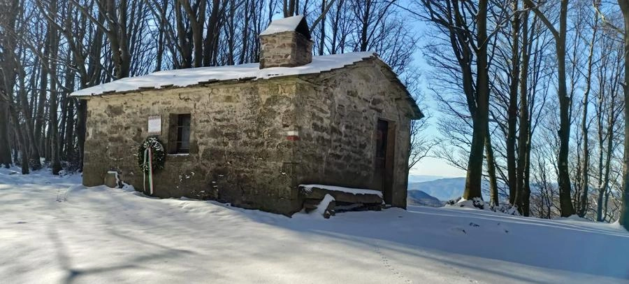 immagine di sfondo 7