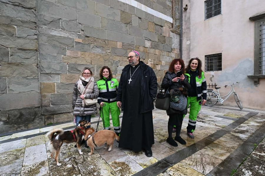 immagine di sfondo 4