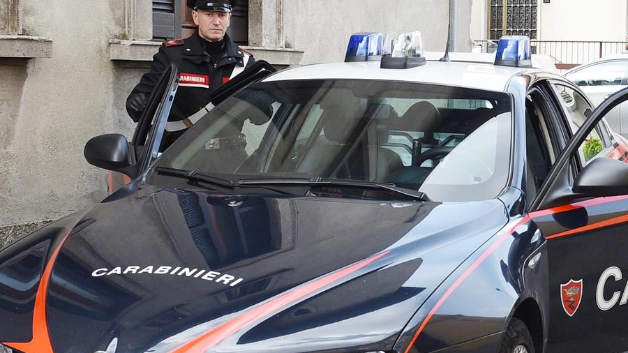 La vicenda è stata seguita dai carabinieri (foto archivio)