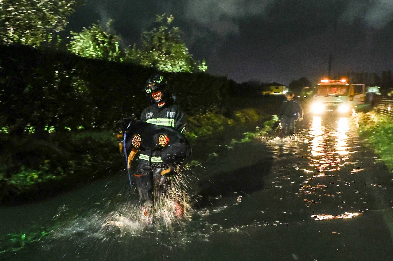 Un cane salvato da un vigile del fuoco nell'Empolese-Valdelsa (Gasperini / Fotocronache Germogli)