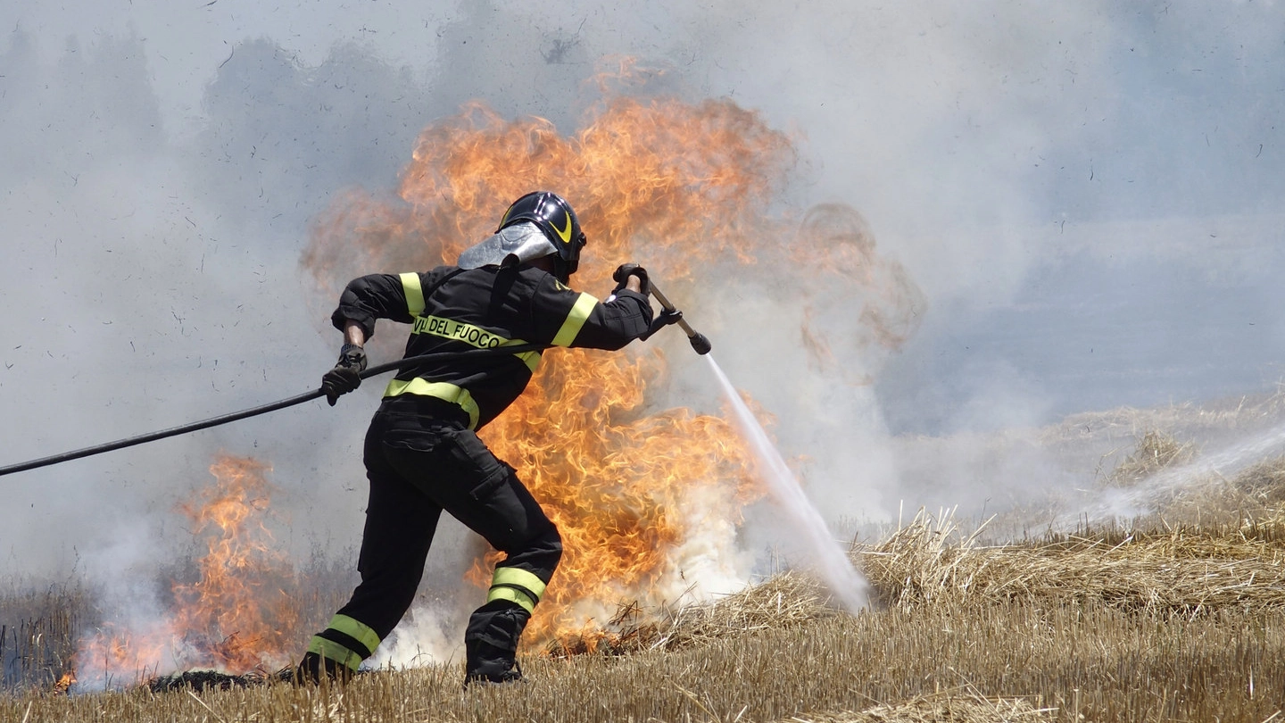 L'incendio a Castelnuovo (foto Attalmi)