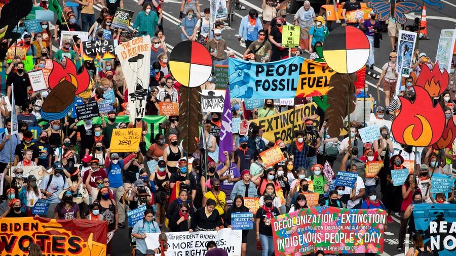 Manifestazione per il clima a Washington (Ansa)