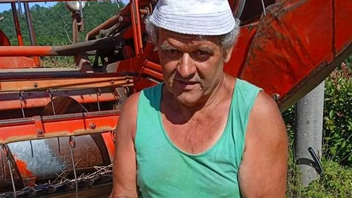Umbria, la “battaglia del grano“. Meteo e crisi abbassano la qualità. Crolla il prezzo pagato ai coltivatori Umbria, la “battaglia del grano“. Meteo e crisi abbassano la qualità. Crolla il prezzo pagato ai coltivatori