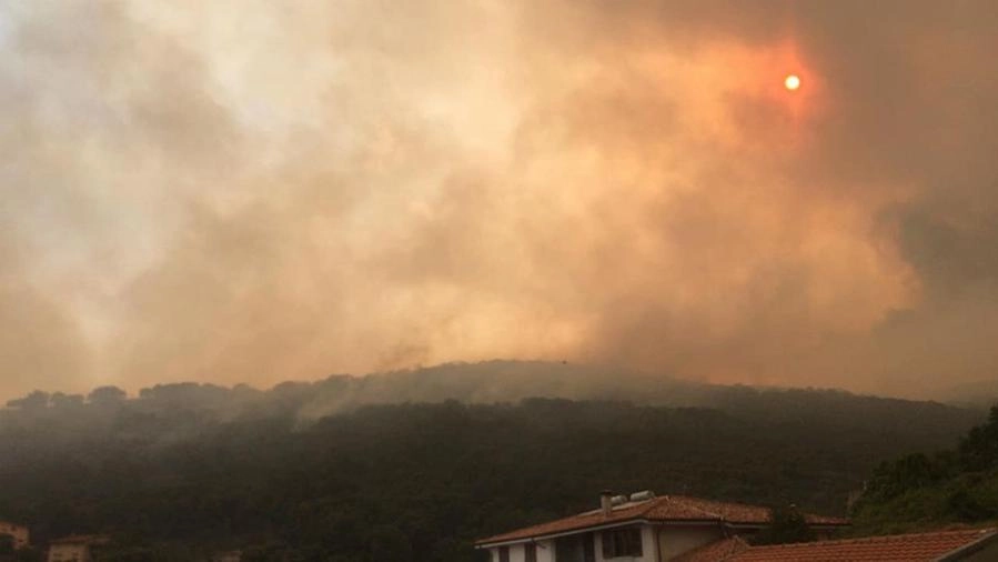 Incendi in Sardegna, 60 ore di fuoco e 1.500 sfollati (foto da Fb sindaco Diego Loi)