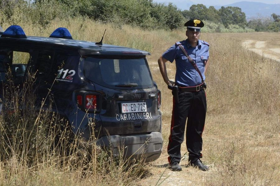 immagine di sfondo 11