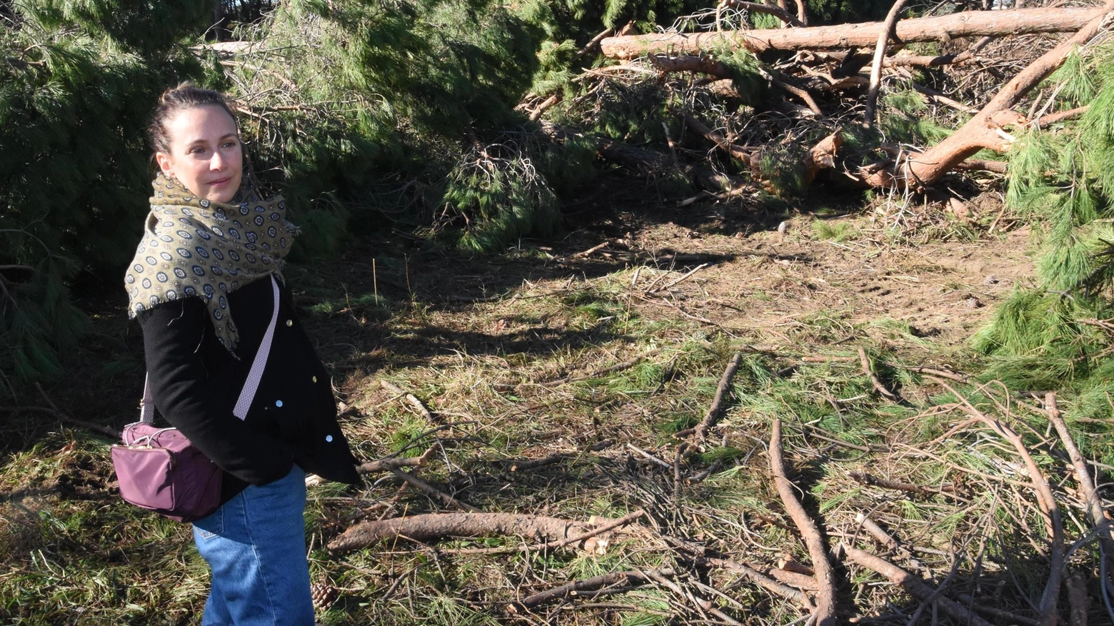 Altri alberi abbattuti: "Nel parco di via Zara c’è rimasta una radura". I residenti sono attoniti Altri alberi abbattuti: "Nel parco di via Zara c’è rimasta una radura". I residenti sono attoniti