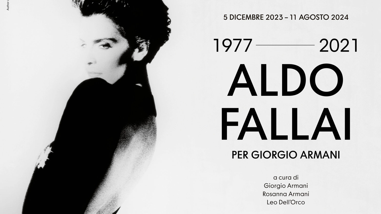 La mostra per Aldo Fallai