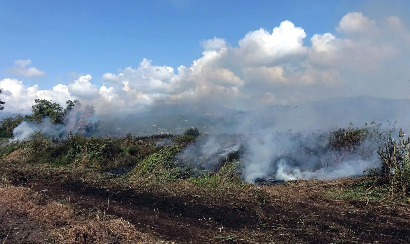 Aria irrespirabile, una cappa ammorba mezza Versilia. La colpa? La torba in fiamme