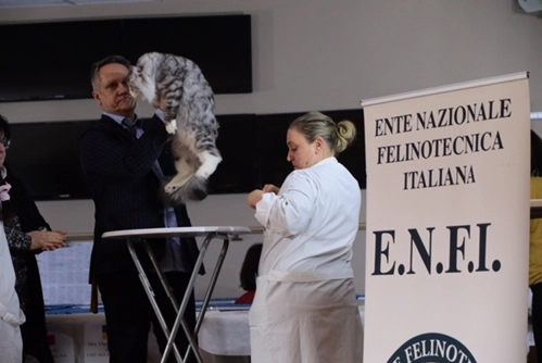 immagine di sfondo 17