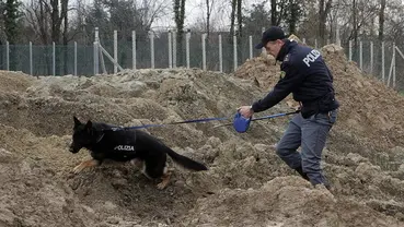 Le ricerche condotte con i cani Le ricerche condotte con i cani